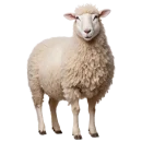 1717688870239ahrpcc16